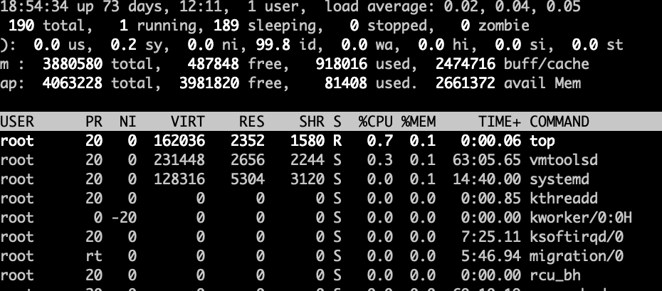 How to Monitor System Activity in linux top Command